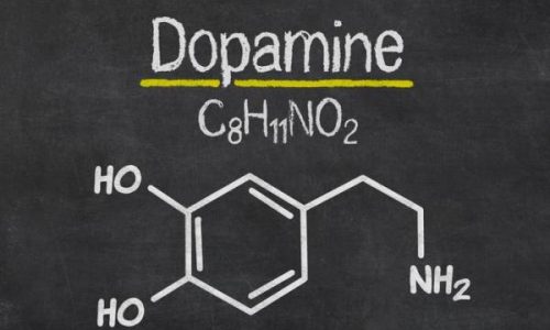 Interações entre a theanine, a dopamina e a serotonina