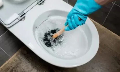 Aprenda Como Desentupir um Vaso Sanitário Sem Causar Danos: Dicas Seguras e Eficazes